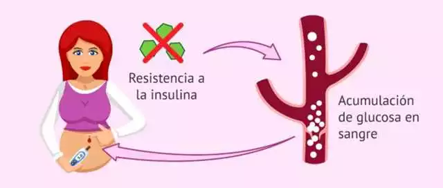 Diatea en Valencia: Tratamiento y Consejos para Controlar la Diabetes | Clínica Endocrina Valencia